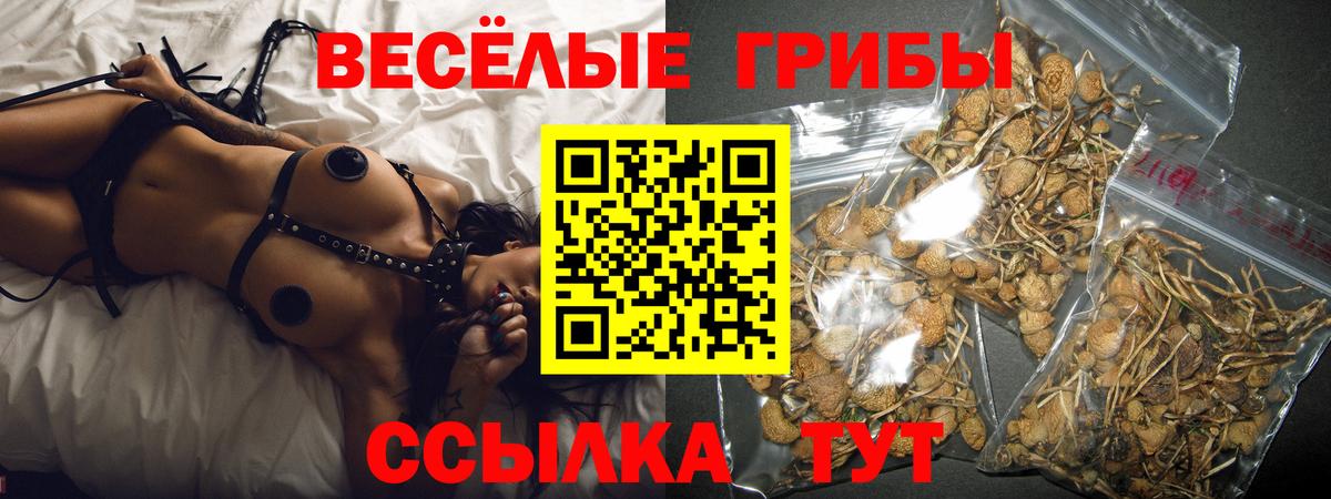 Галлюциногенные грибы GOLDEN TEACHER  Вход с VPN  Лабытнанги  Псилоцибиновые грибы Cubensis 